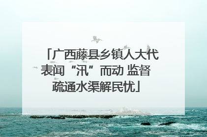 广西藤县乡镇人大代表闻“汛”而动 监督疏通水渠解民忧
