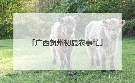 广西贺州初夏农事忙