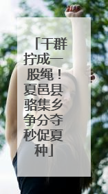 干群拧成一股绳！夏邑县骆集乡争分夺秒促夏种