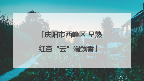庆阳市西峰区 早熟红杏“云”端飘香
