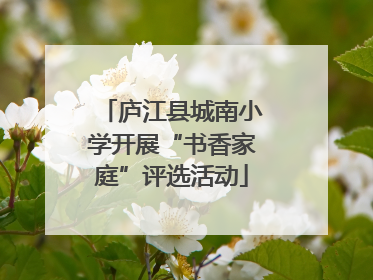 庐江县城南小学开展“书香家庭”评选活动