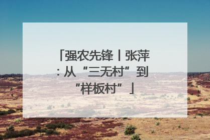 强农先锋丨张萍：从“三无村”到“样板村”