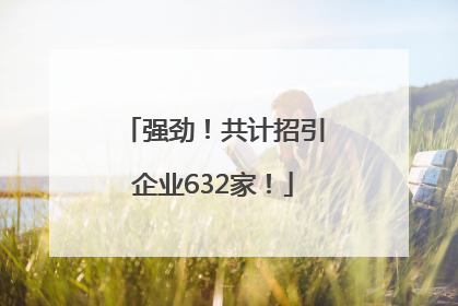强劲！共计招引企业632家！
