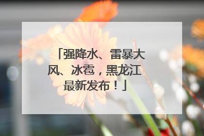 强降水、雷暴大风、冰雹，黑龙江最新发布！