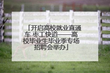 开启高校就业直通车 枣工快道——高校毕业生毕业季专场招聘会举办