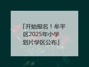 开始报名！牟平区2025年小学划片学区公布