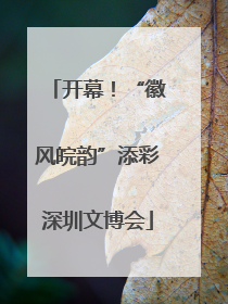 开幕！“徽风皖韵”添彩深圳文博会