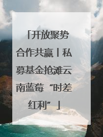 开放聚势 合作共赢丨私募基金抢滩云南蓝莓“时差红利”