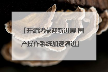 开源鸿蒙迎新进展 国产操作系统加速演进
