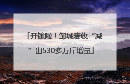 开镰啦！邹城麦收“减”出530多万斤增量
