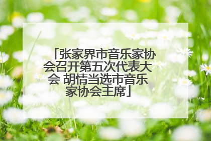 张家界市音乐家协会召开第五次代表大会 胡情当选市音乐家协会主席