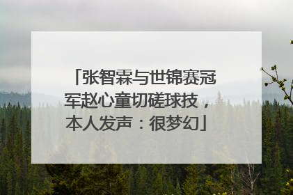 张智霖与世锦赛冠军赵心童切磋球技，本人发声：很梦幻