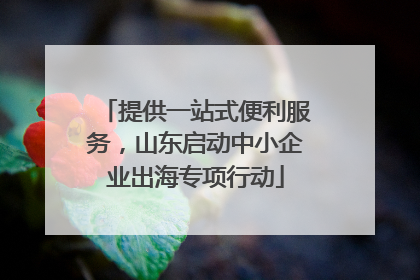 提供一站式便利服务，山东启动中小企业出海专项行动