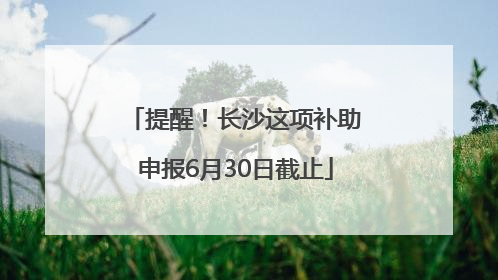 提醒！长沙这项补助申报6月30日截止