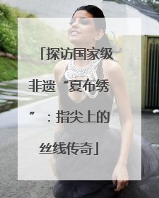 探访国家级非遗“夏布绣”：指尖上的丝线传奇
