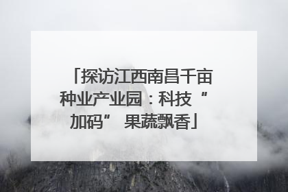 探访江西南昌千亩种业产业园：科技“加码” 果蔬飘香