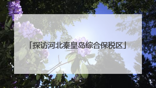 探访河北秦皇岛综合保税区