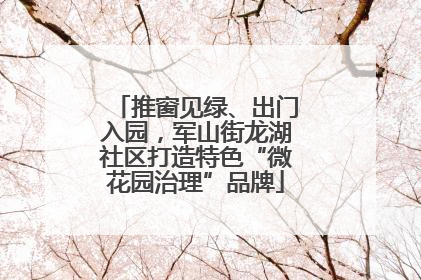 推窗见绿、出门入园，军山街龙湖社区打造特色“微花园治理”品牌