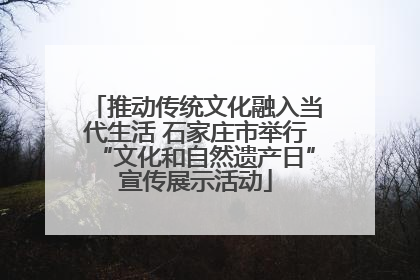 推动传统文化融入当代生活 石家庄市举行“文化和自然遗产日”宣传展示活动