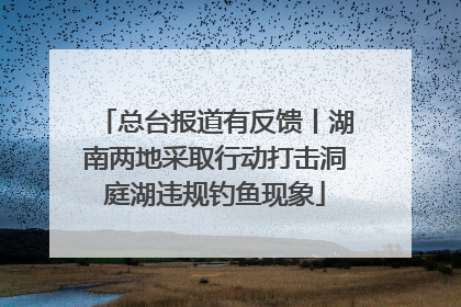 总台报道有反馈丨湖南两地采取行动打击洞庭湖违规钓鱼现象