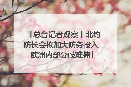 总台记者观察丨北约防长会拟加大防务投入 欧洲内部分歧难掩