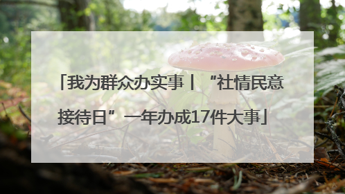 我为群众办实事丨“社情民意接待日”一年办成17件大事