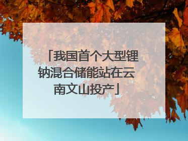 我国首个大型锂钠混合储能站在云南文山投产