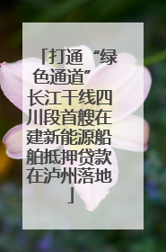 打通“绿色通道” 长江干线四川段首艘在建新能源船舶抵押贷款在泸州落地