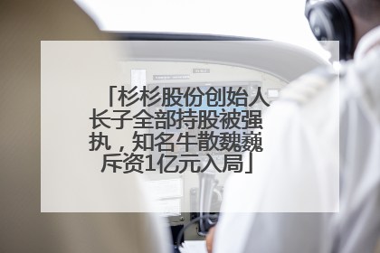 杉杉股份创始人长子全部持股被强执，知名牛散魏巍斥资1亿元入局