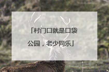 村门口就是口袋公园，老少同乐