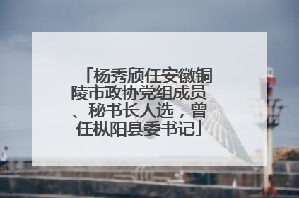 杨秀颀任安徽铜陵市政协党组成员、秘书长人选，曾任枞阳县委书记
