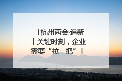 杭州两会·追新丨关键时刻，企业需要“拉一把”