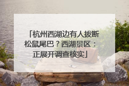 杭州西湖边有人拔断松鼠尾巴？西湖景区：正展开调查核实