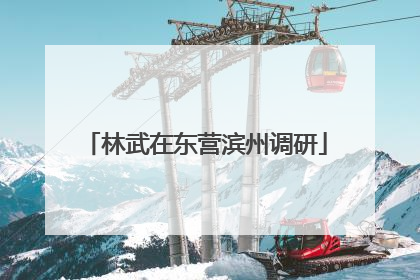 林武在东营滨州调研