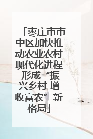 枣庄市市中区加快推动农业农村现代化进程 形成“振兴乡村 增收富农”新格局