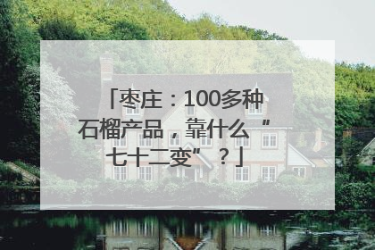 枣庄：100多种石榴产品，靠什么“七十二变”？