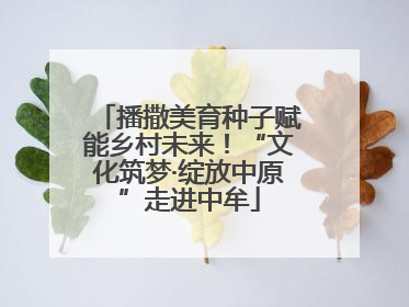 播撒美育种子赋能乡村未来！“文化筑梦·绽放中原”走进中牟