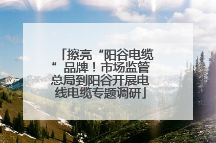 擦亮“阳谷电缆”品牌！市场监管总局到阳谷开展电线电缆专题调研