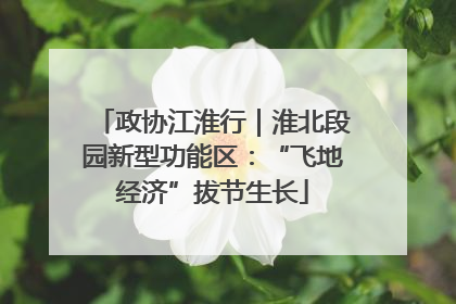 政协江淮行｜淮北段园新型功能区：“飞地经济”拔节生长