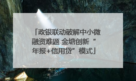 政银联动破解中小微融资难题 金塘创新“年报+信用贷”模式