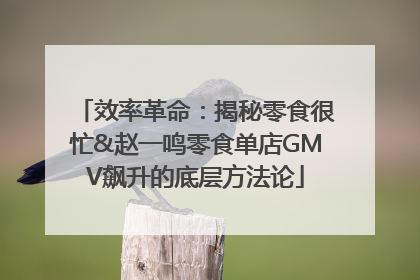 效率革命：揭秘零食很忙&赵一鸣零食单店GMV飙升的底层方法论