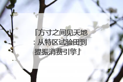 方寸之间见天地：从特区试验田到提振消费引擎