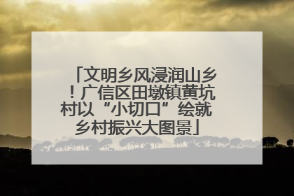 文明乡风浸润山乡！广信区田墩镇黄坑村以“小切口”绘就乡村振兴大图景