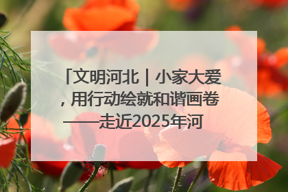 文明河北｜小家大爱，用行动绘就和谐画卷——走近2025年河北省“最美家庭”
