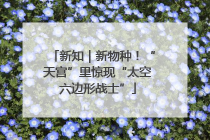 新知｜新物种！“天宫”里惊现“太空六边形战士”