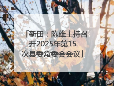 新田：陈雄主持召开2025年第15次县委常委会会议