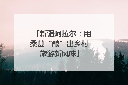 新疆阿拉尔：用桑葚“酿”出乡村旅游新风味