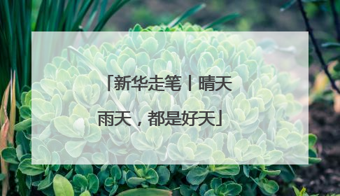 新华走笔丨晴天雨天，都是好天