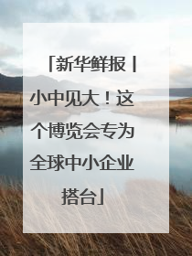 新华鲜报丨小中见大！这个博览会专为全球中小企业搭台
