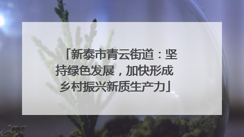 新泰市青云街道：坚持绿色发展，加快形成乡村振兴新质生产力